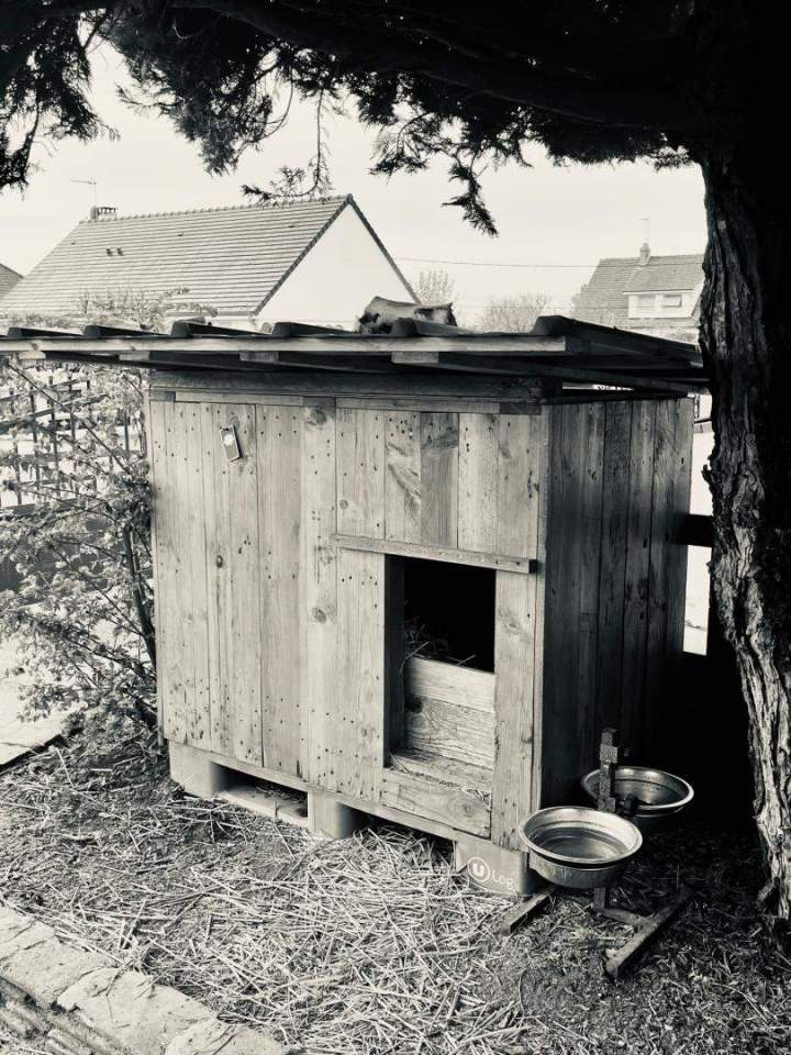 Fournisseur palettes Orléans