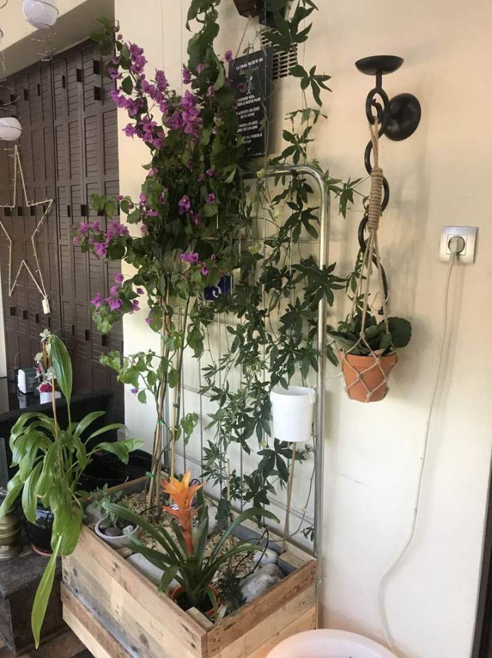 Fabricant palettes standard Orléans