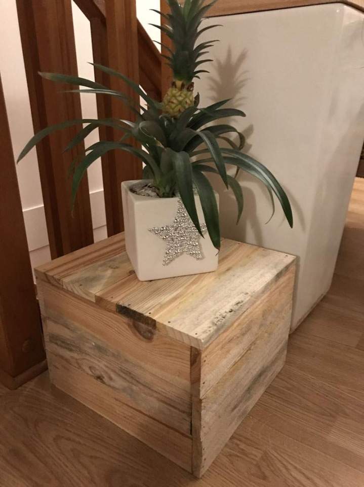 Fabricant palettes standard Orléans