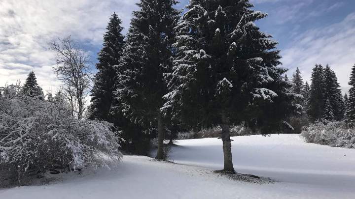 Distributeur de palettes Orléans