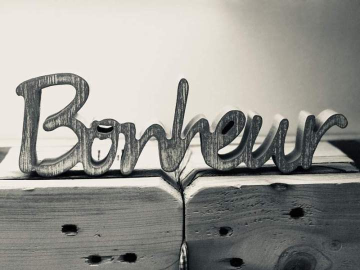 Objet de décoration en palettes Orléans